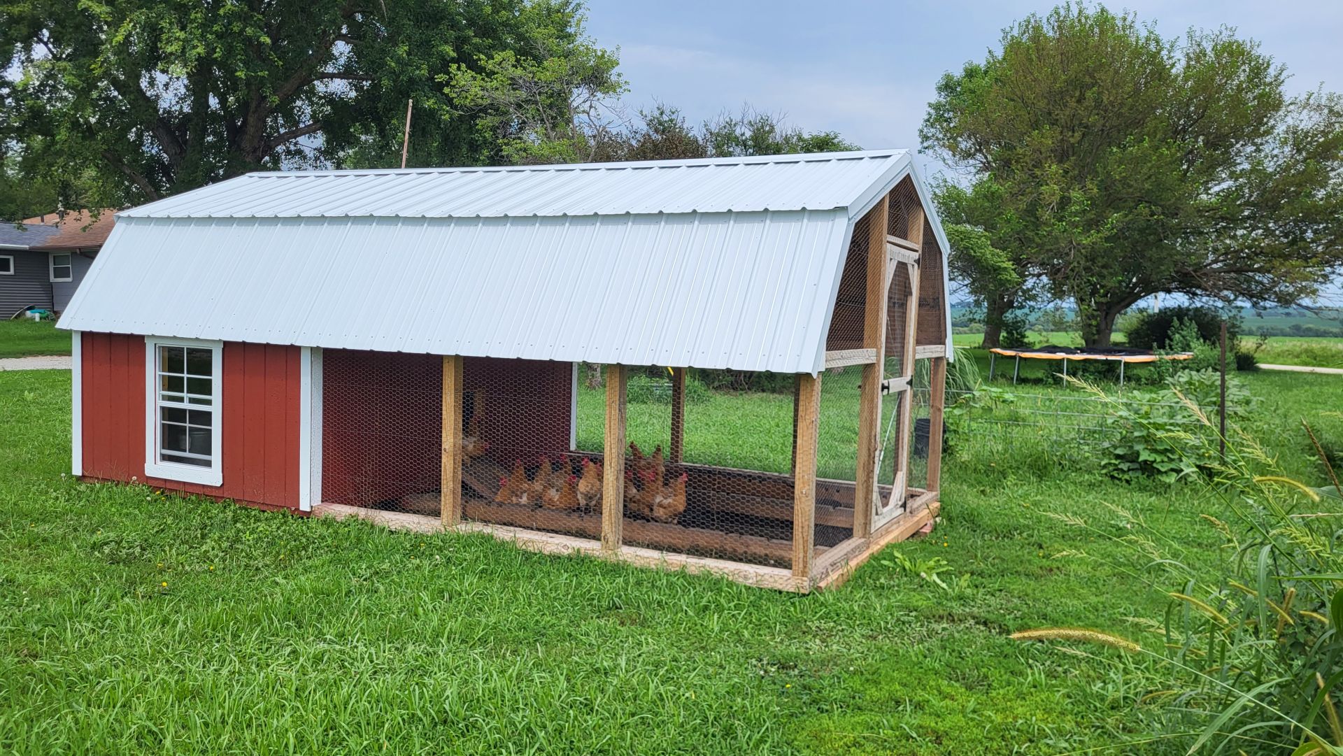 chicken-coop2