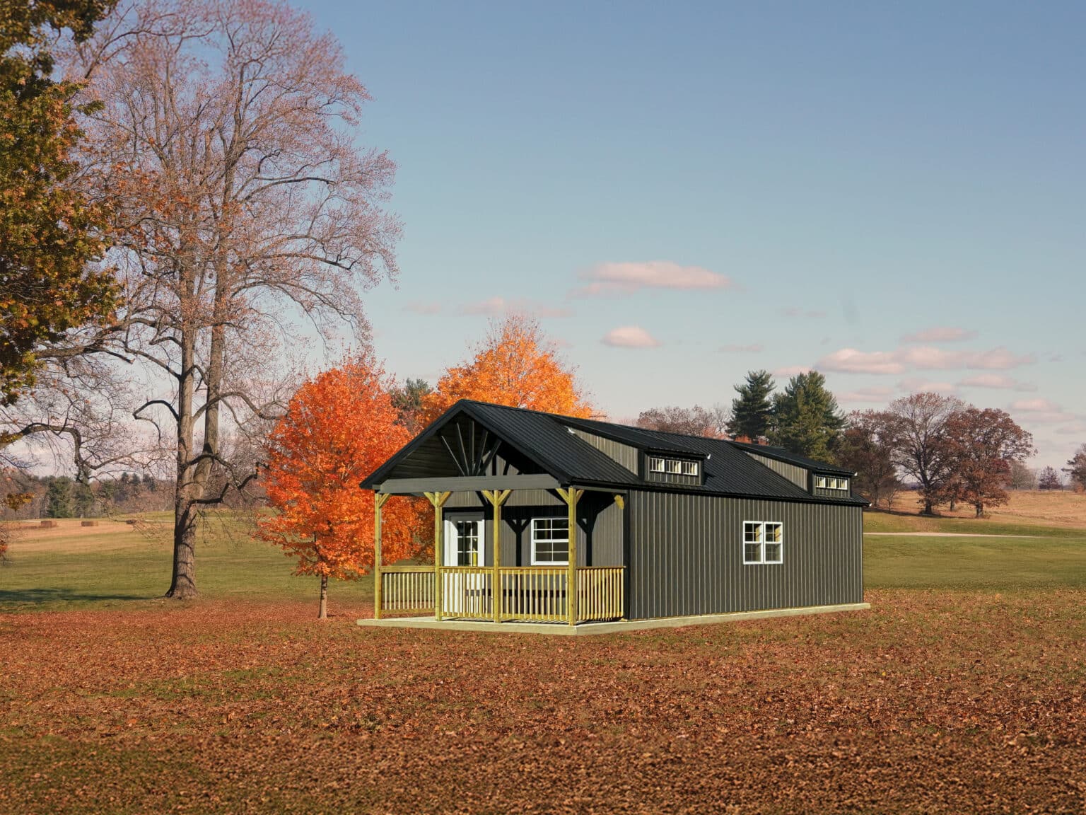 16x44 Swiss Cabin Black Charcoal