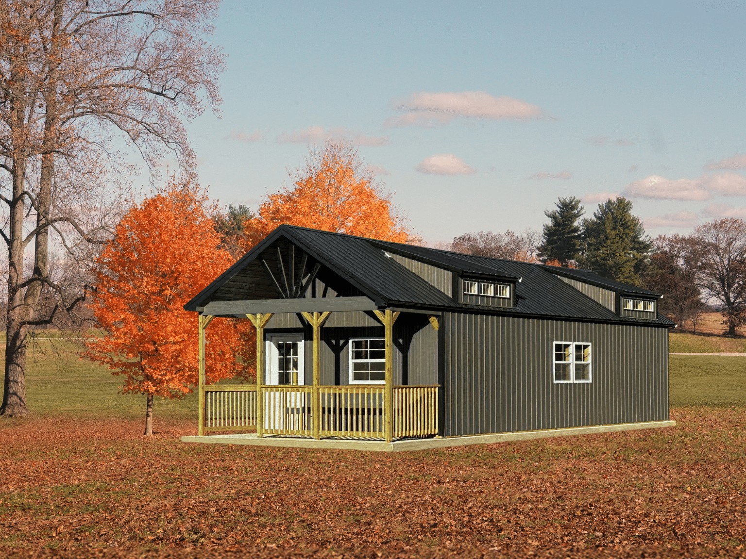 16x44 Swiss Cabin Black Charcoal
