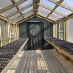 greenhouse shed interior shelving